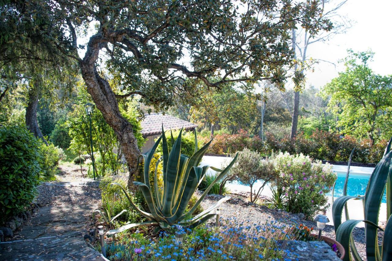 Bed and Breakfast La Garriniere à Saint-Raphaël Extérieur photo